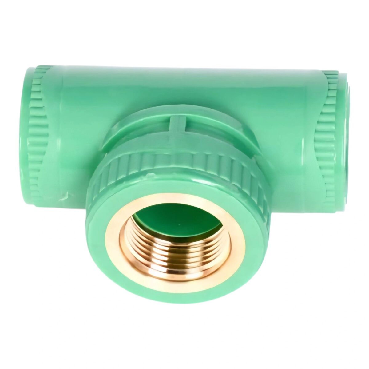 2025/07/1000302042.jpg تي بسن انثى 25x1/2 - الصورة 1